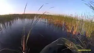 Левки 4-5 июля 2015 г.