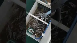 Астра 3 обрата фаза