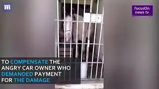 القبض على «حصان» والحكم بحبسه في سجن عسكري