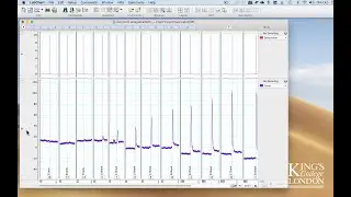 Analysing data with a variable baseline in LabChart