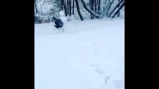 Максим давай