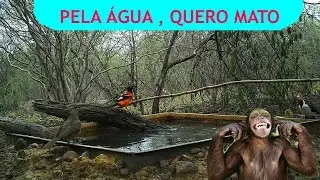 MATO- Youtuber Life
