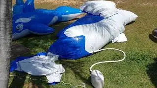 Inflatable Whale Comparison Setup Part 2