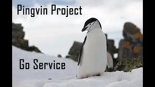 Pingvin Project 04 - Go Service készítése