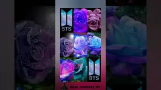 choose your dream boy💙💜🌐 BTS Prince 🤴 💙 ARMY princess 👸❤️