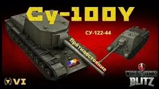 ЧЕСТНЫЙ СВЕЖИЙ ОБЗОР на СУ-100Y