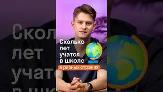 Как устроены школы в других странах? 
