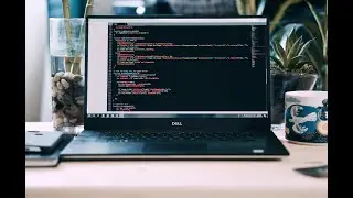 Краткий обзор трёх ноутбуков Dell: Latitude e5520 , Latitude e5570, Latitude d630.