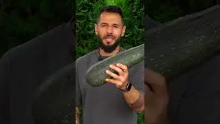 Zucchini cake 