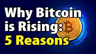 Why Bitcoin is Rising: 5 Reasons.