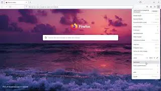 Supprimer les cookies dans Mozilla Firefox en 2024 ( 2011 et 2008 )