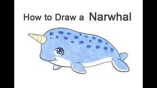 How to draw a Narwhal (Cartoon)
