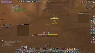 Zela Live Stream