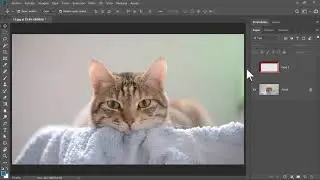 Marco de Fotografía en Photoshop