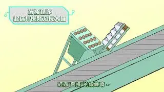 菇菇的生長過程
