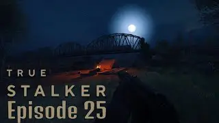 STALKER - True Stalker | Battle Royale | No Commentary #25