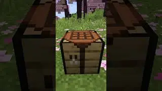 1.20 In 1 Minute! All New Feature in the 1.20 Update