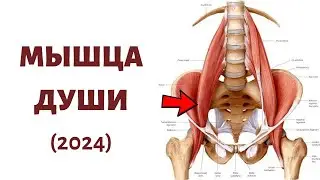 🔴 Как расслабить ПОЯСНИЧНУЮ МЫШЦУ | 3 САМЫХ эффективных упражнения
