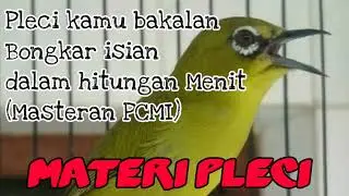 Pleci di rumah bakalan Bongkar isian Dalam hitungan Menit #MasteranPCMI