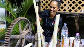 Opening Party - Grenada Chocolate Festival 2023
