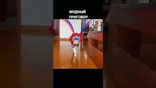 Модный показ от котов😎 