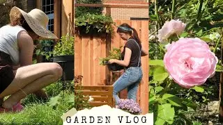 The Garden Is Expanding! Planting Shrubs & Flower Tour 💐🌳 Garden Vlog
