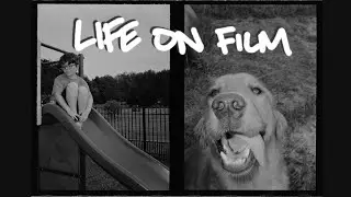 pentax 17 and half-frame diptychs | life on film