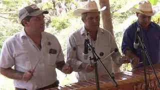 Amor a la ligera