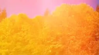Я пришлю тебе осень. М.Цветаева