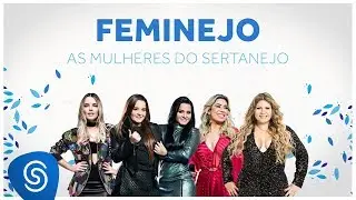 As Mulheres do Sertanejo - Feminejo: Mix Sertanejo 2019 (Áudio Oficial)