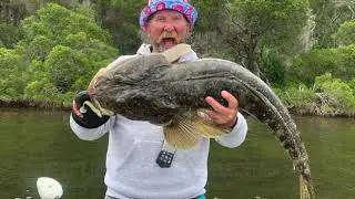 CORRECT HANDLING OF BIG FLATHEAD