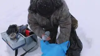АНГАРА ХАРИУС