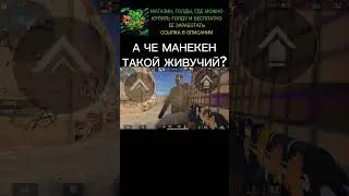 ОН ЧИТЫ СКАЧАЛ? #standoff #standoff2 #стандофф #стандофф2 #gaming #meme