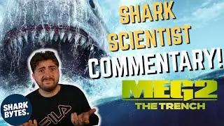 Shark Scientist Reacts to 'Meg 2: The Trench' (Movie Commentary & Reaction)