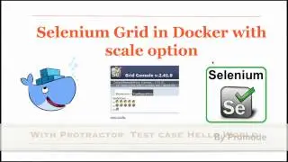 Protractor Test case in Selenium Grid in Docker