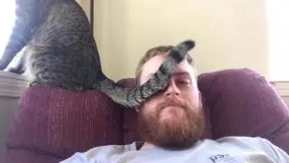 Funny Cat Fails Compilation! Забавные приколы с Котиками! Фейлы с котиками!