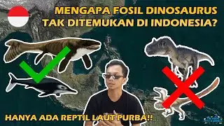 Alasan Mengapa Tidak Ada Fosil Dinosaurus yang Ditemukan di Indonesia | Nomor 5 Alasan KLASIK !! 🦕🦖