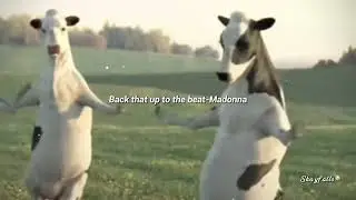 Back that up to the beat (sped up) [Cows dance]