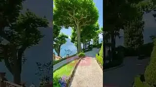 ||Nature Tech|| Music for relaxing ,music for calming 