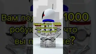На что потратишь? #роблокс #roblox #мем