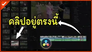 วิธีดูว่าคลิปไหนที่ใช้งานอยู่บน Timeline และคลิปบน Timeline อันนี้วางอยู่ตรงไหน