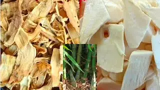 របៀបធ្វើទំពាំក្រៀមអាចរក្សាទុកបានយូខែ / How to make dried bamboo shoot