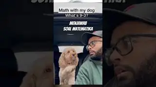 anjing pintar matematika