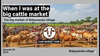 গরু ছাগলের বিশাল হাটে যখন আমি। বিদ্যানন্দ গ্রামের বিশাল হাট। পর্ব ০৪। ২০২৪ | বিদ্যানন্দ গ্রাম