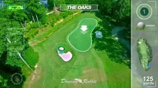 Dancing Rabbit Golf Tutorial Video