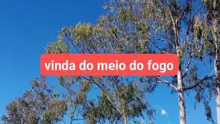 O senhor é Deus, Deuteronômio 4:32-40