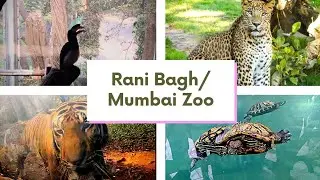 Rani Bagh Zoo in 2022 | veer mata jijabai bhosale udyan and zoo | Mumbai Zoo 😍 | Amar Mandal
