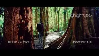 Parametric LUT Demo