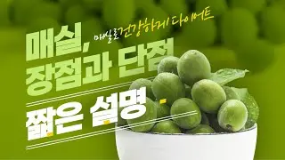다이어트에 도움이 되는 제철 과일 #1 #매실