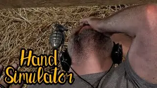 WADE: 0 | Hand Simulator Grenades